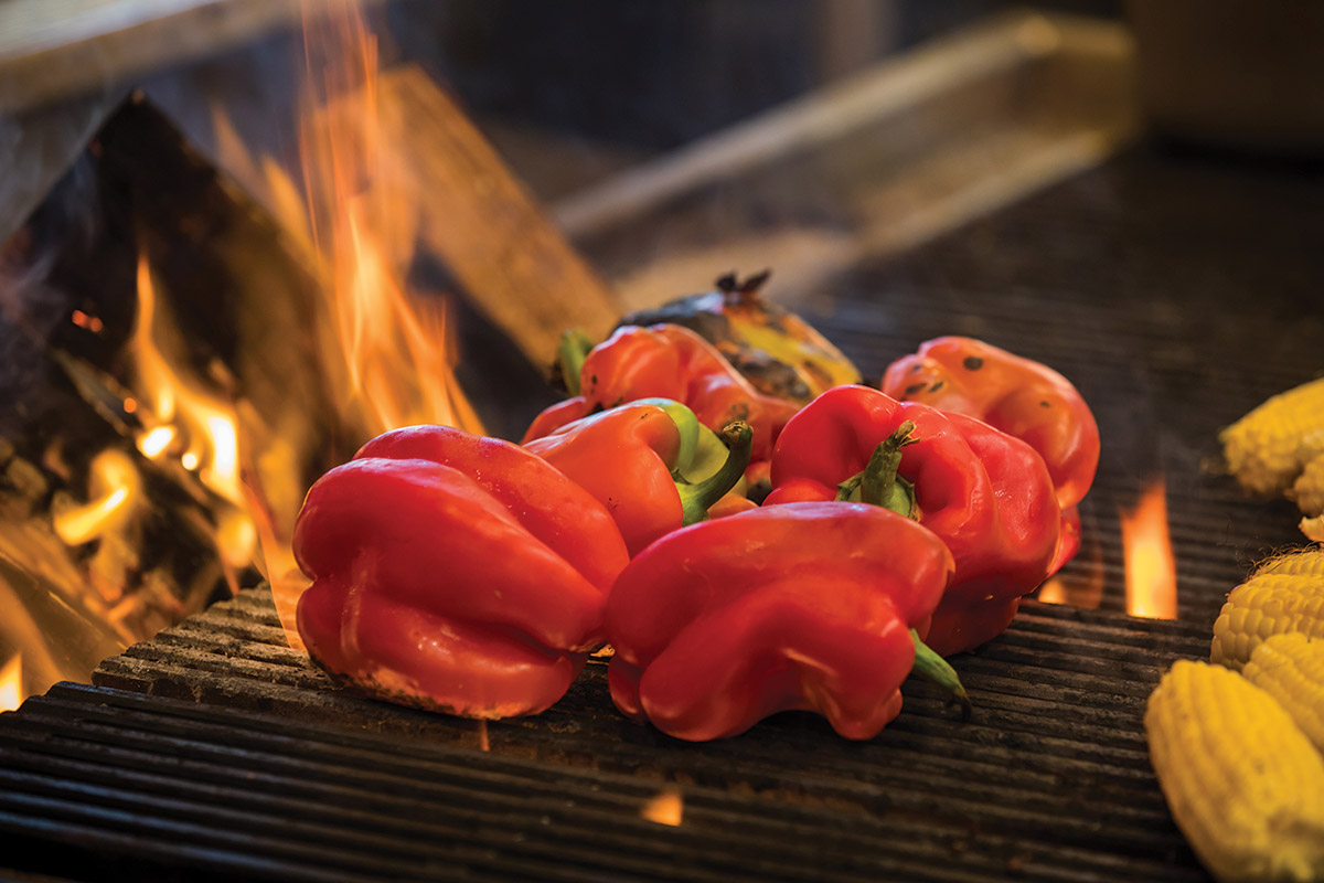 Wood Stone Grill