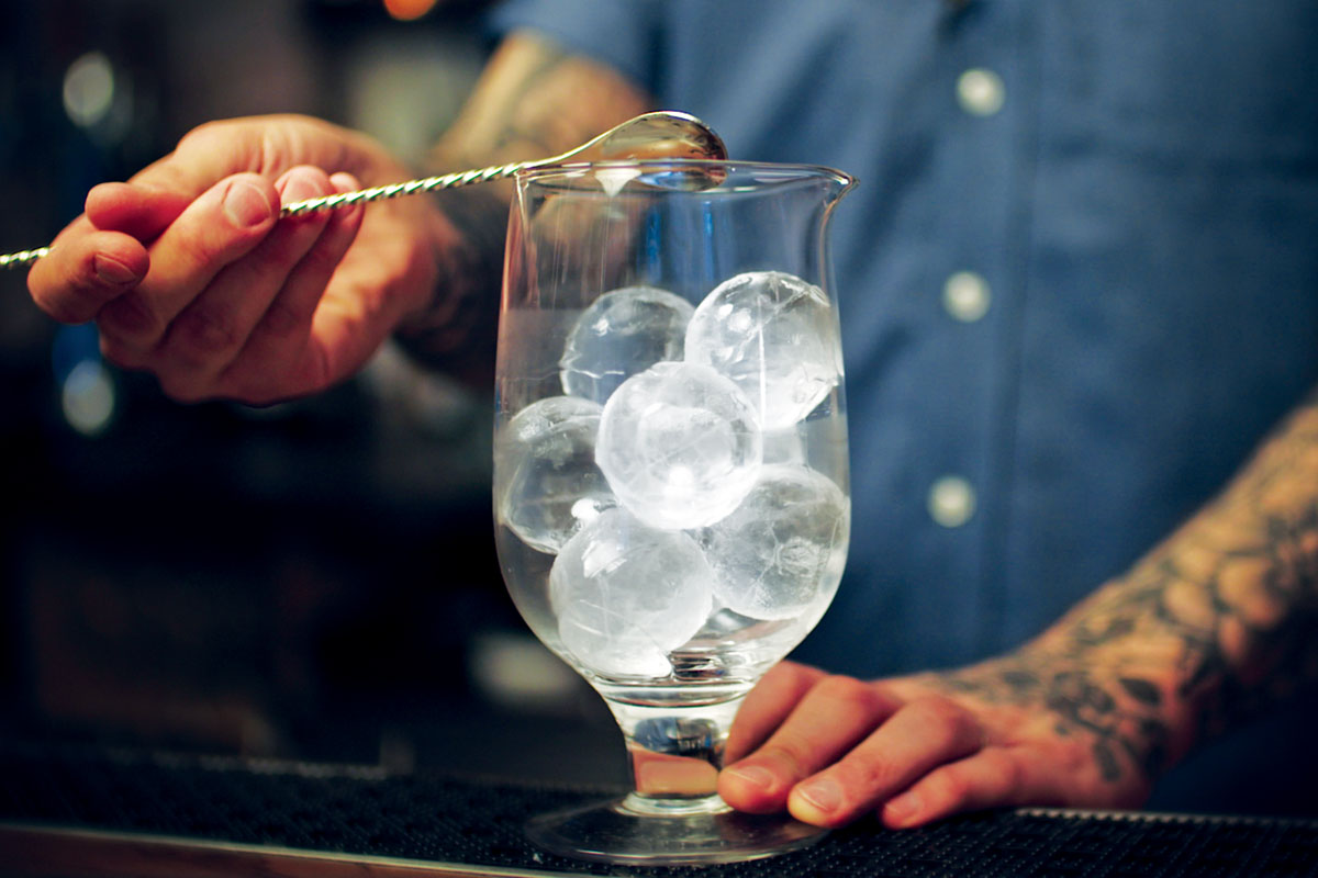 Hoshizaki Ice Machine Bartender