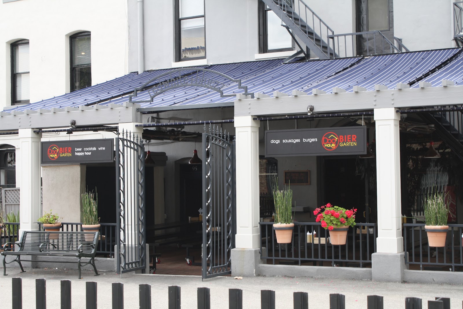 dog haus