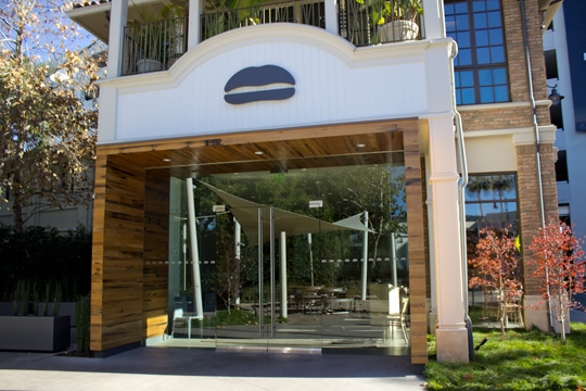 Umami