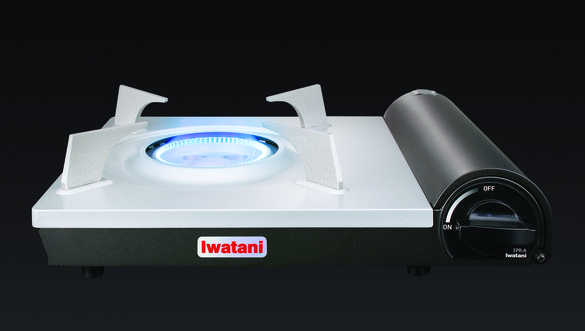 Iwatani cropped