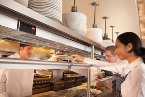 Electric Warming Tray with Food Heat Lamp with Bulb for Buffet