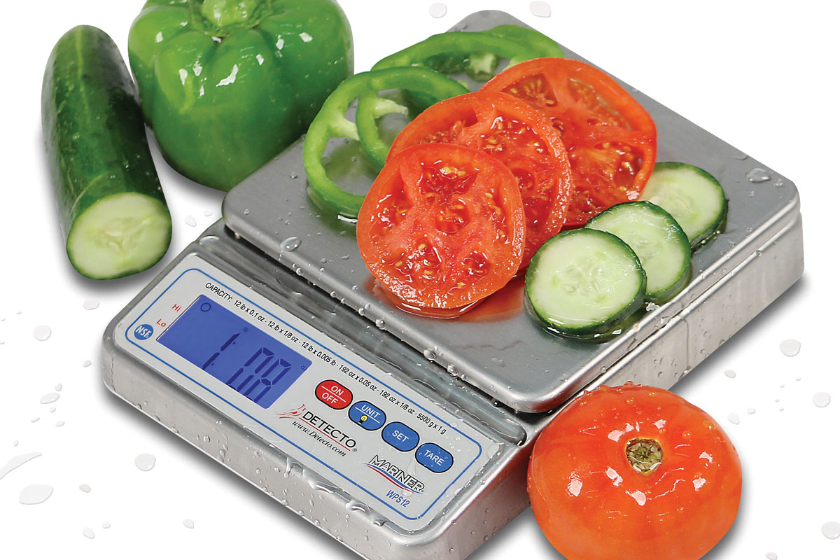 NEW BRV-160W Submersible Waterproof Digital Scale