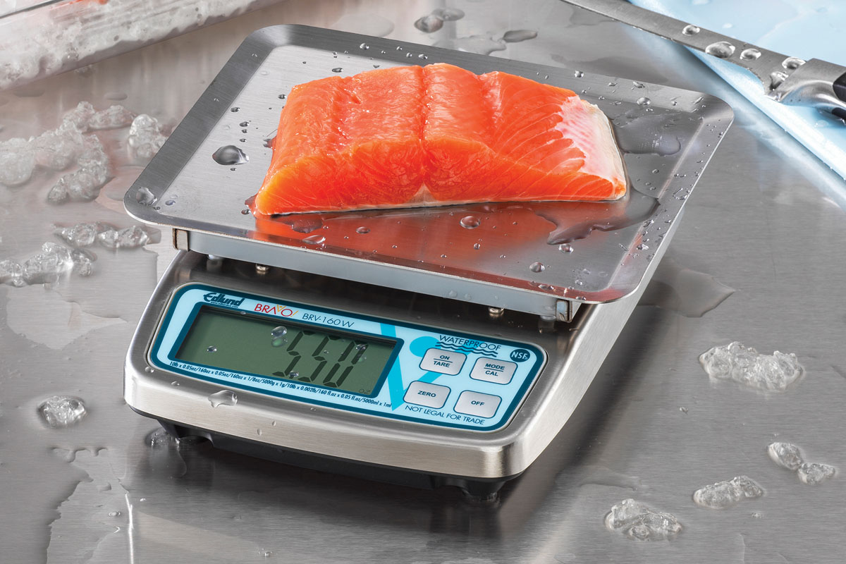 Types of Foodservice Scales & How to Choose One