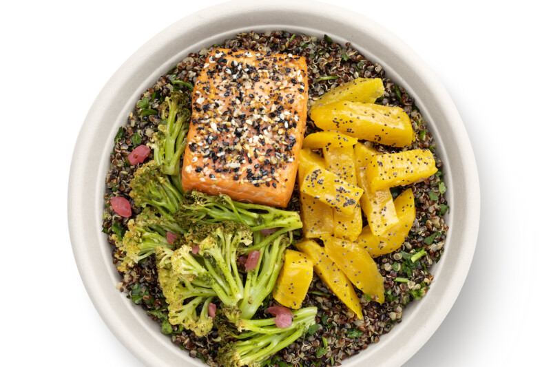 Farmesa Bowl Salmon 8633 C copy