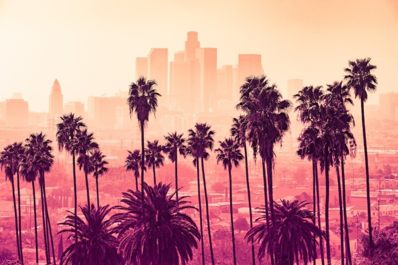 Los Angeles skyline with palm trees in the foreground