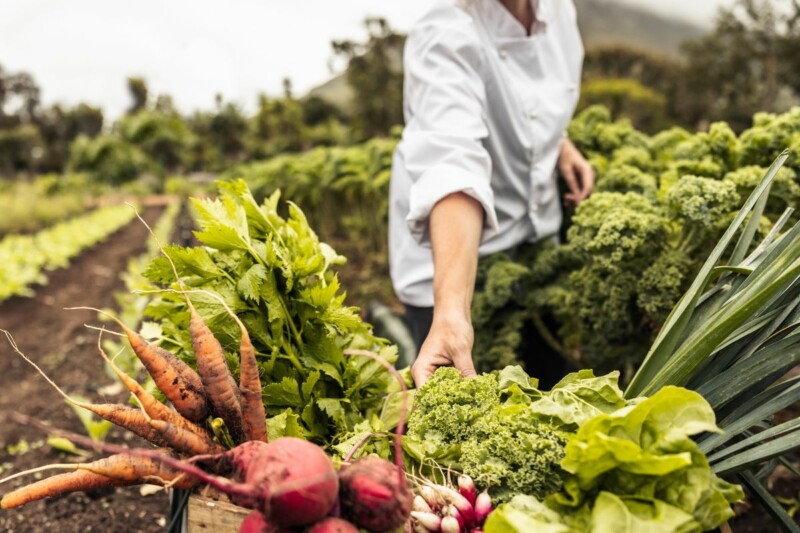 FarmtoTable