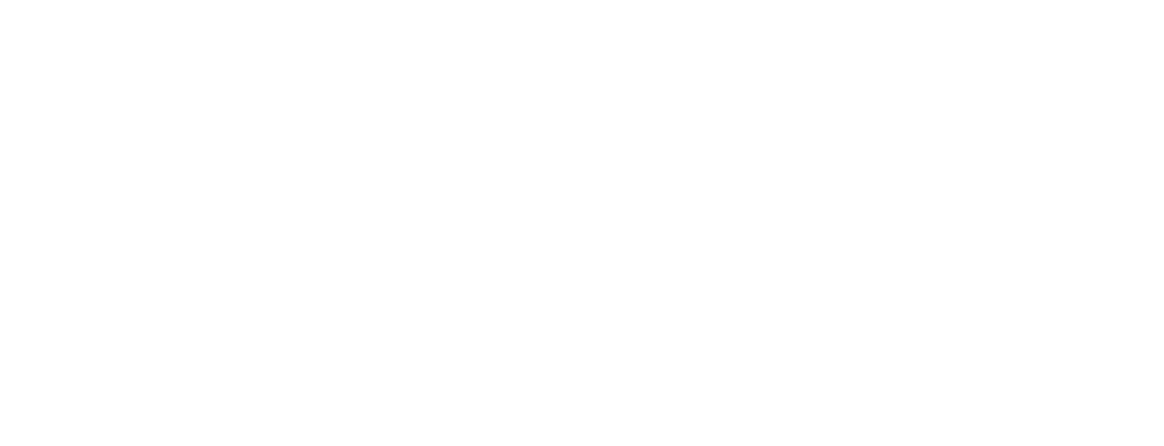 TheNAFEMshow25 White