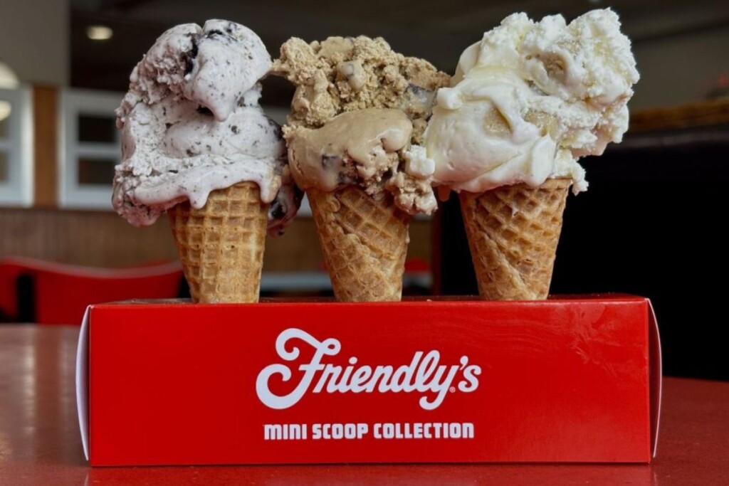 Friendlys2025 Friendlys2025