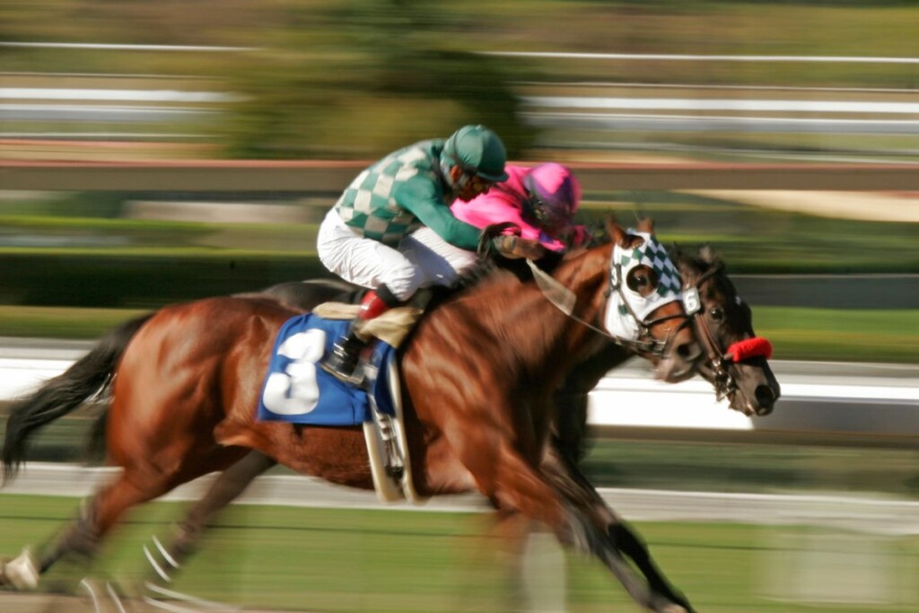 HorseRacing