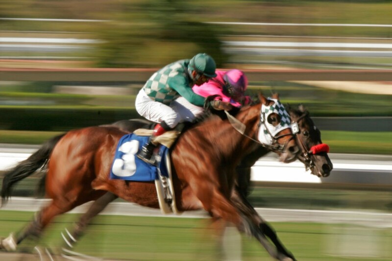 HorseRacing