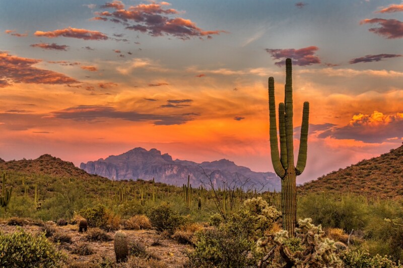 Arizona